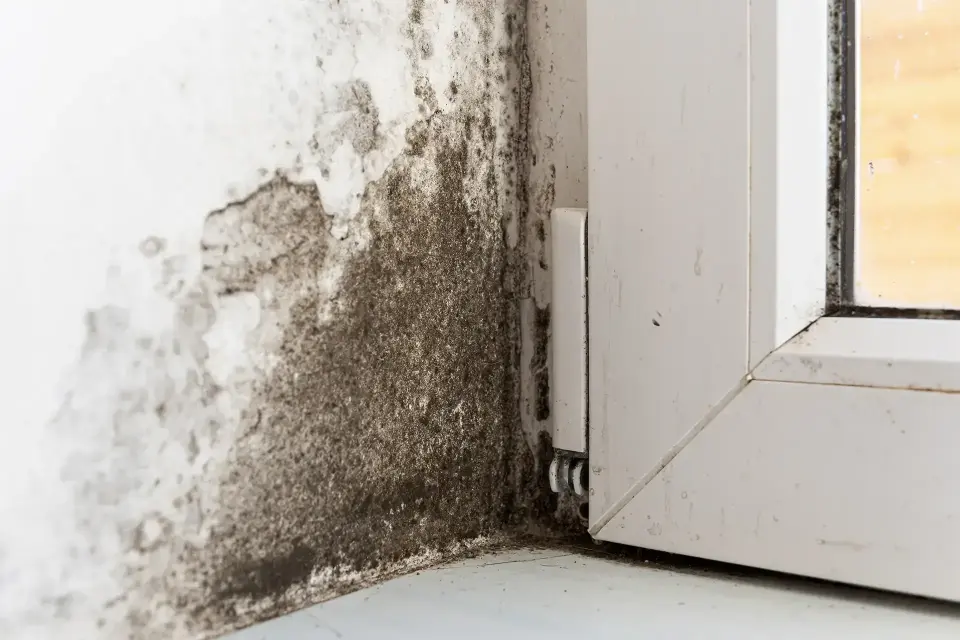 Restoring Peace of Mind After Property Flooding — Greeley, CO
